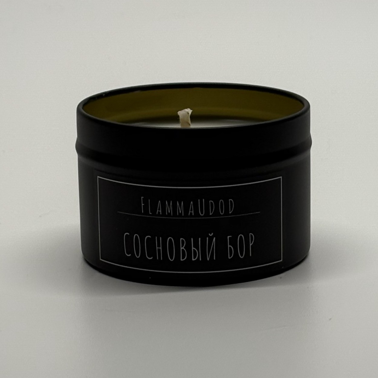 Сосновый бор