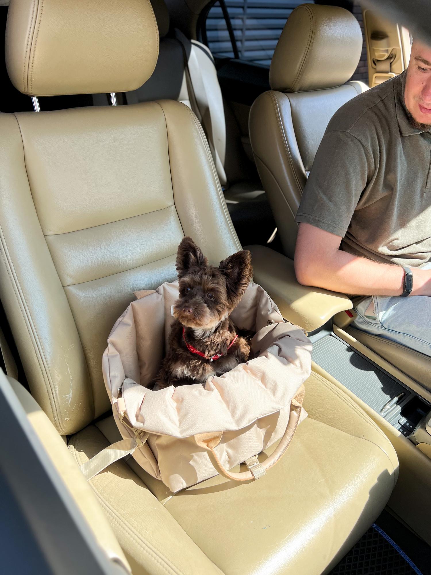 СУМКА-АВТОКРЕСЛО БЕЖЕВАЯ РАЗМЕР S