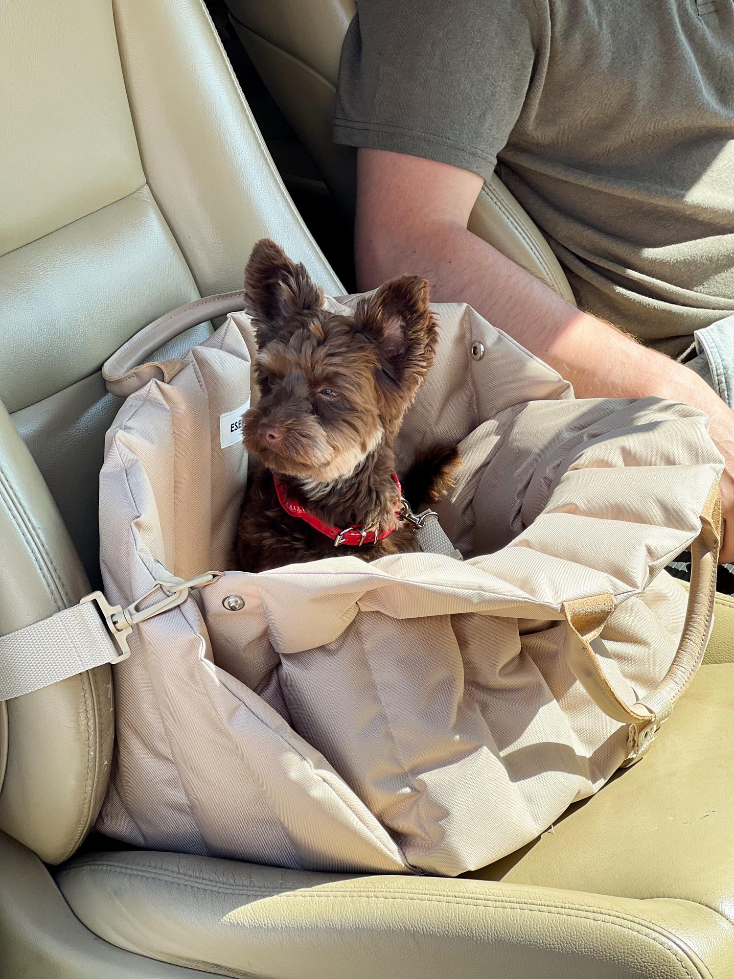 СУМКА-АВТОКРЕСЛО БЕЖЕВАЯ РАЗМЕР M