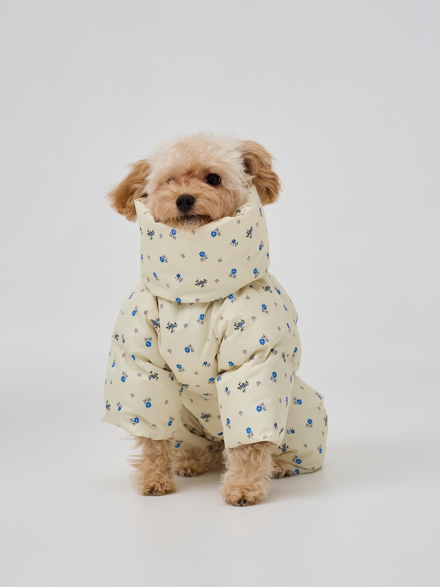 Зимний комбинезон "цветочки на сливочном"