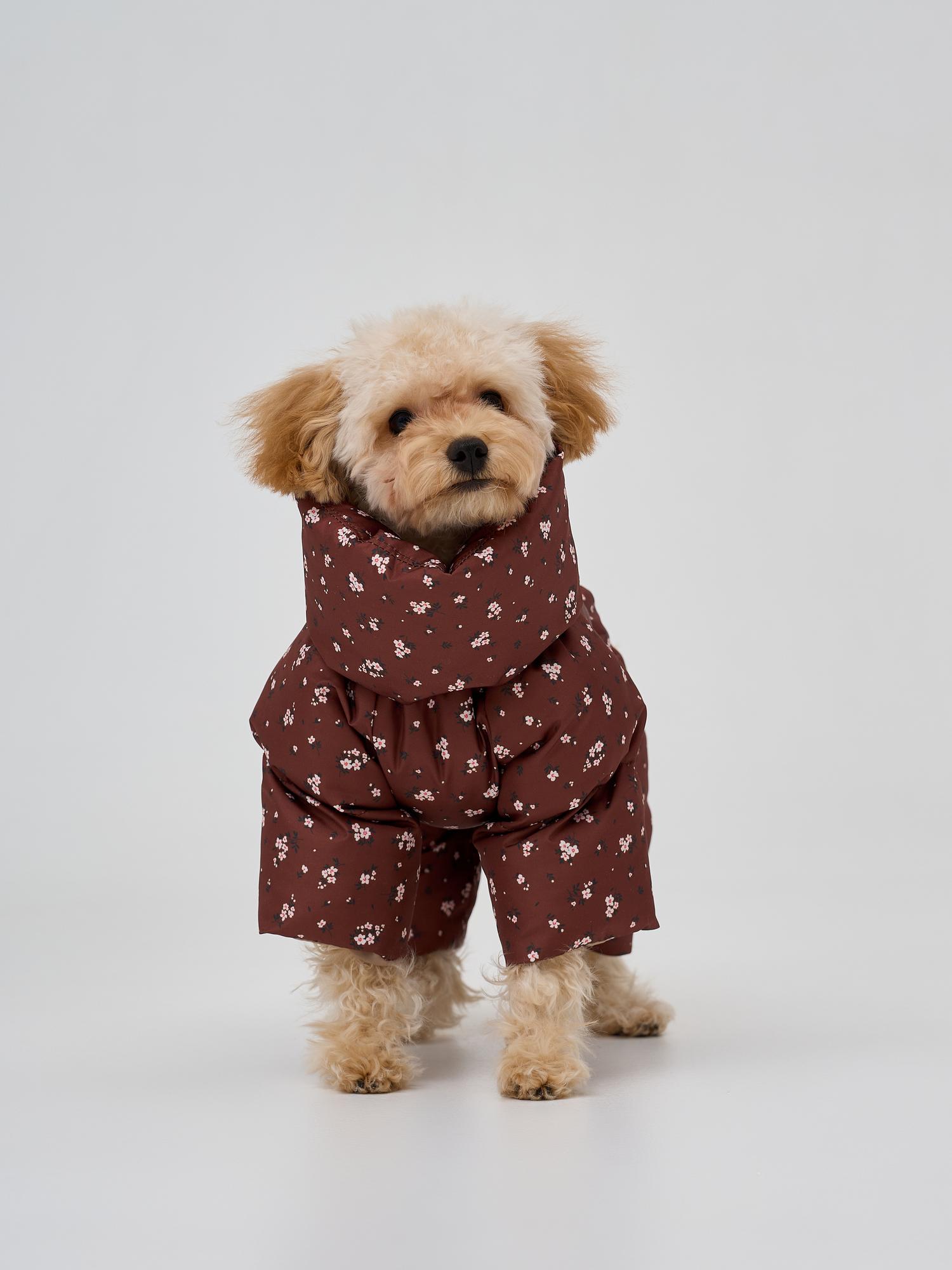 Зимний комбинезон "цветочки на коричневом"