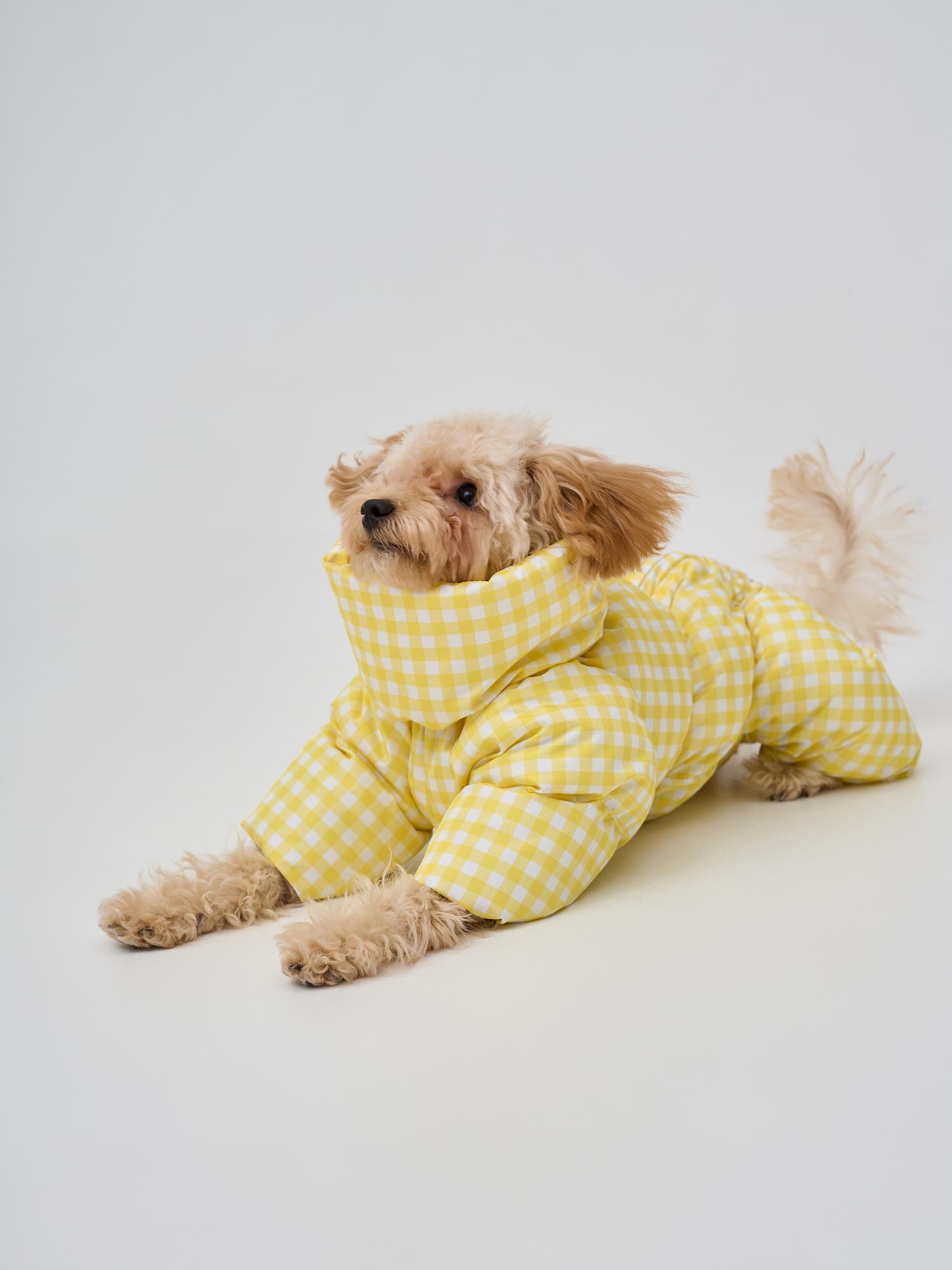 Зимний комбинезон "клетка желтая"