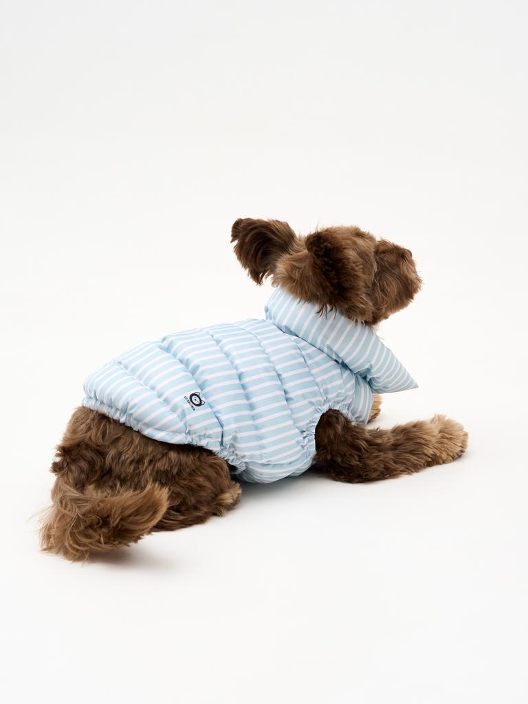 Жилет голубая полоска