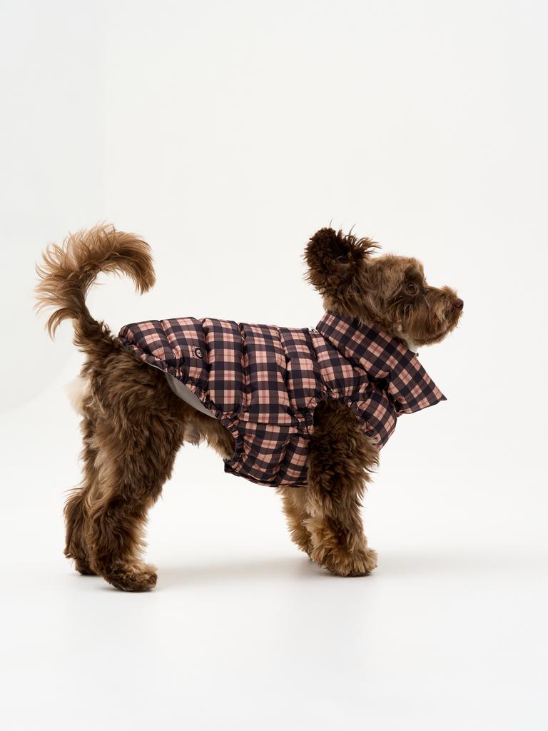 Клетка темная