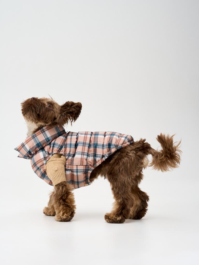 Клетка бежево-зеленая