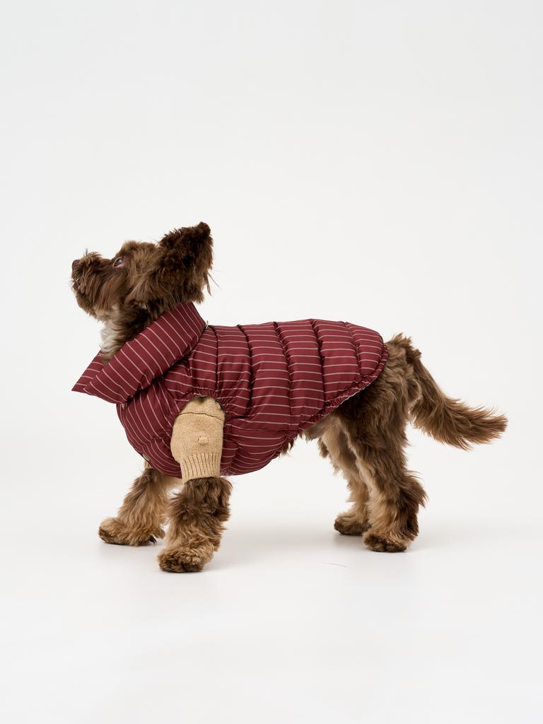 Полоска костюмная