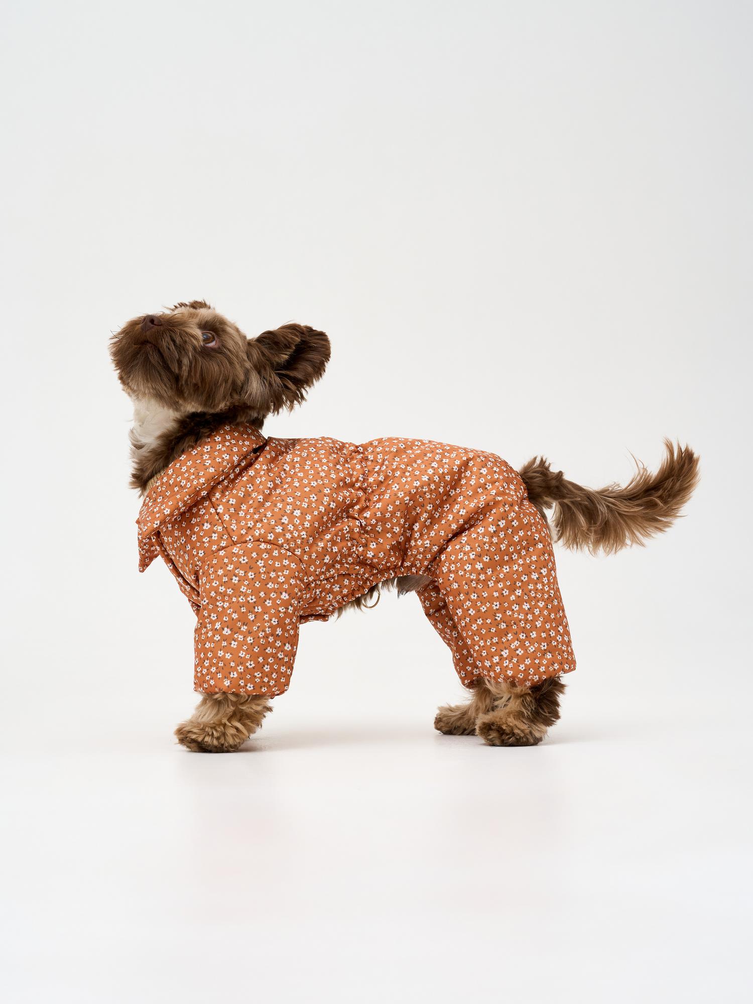 Демисезонный комбинезон "цветочки на горчичном"