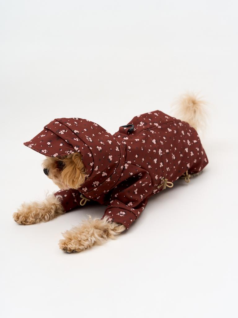 Комбинезон из софтшелла "цветочки на коричневом"