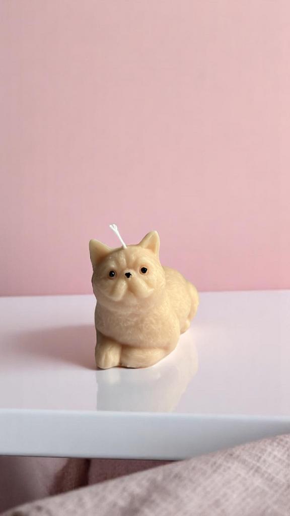 Свеча Британский котик персиковый