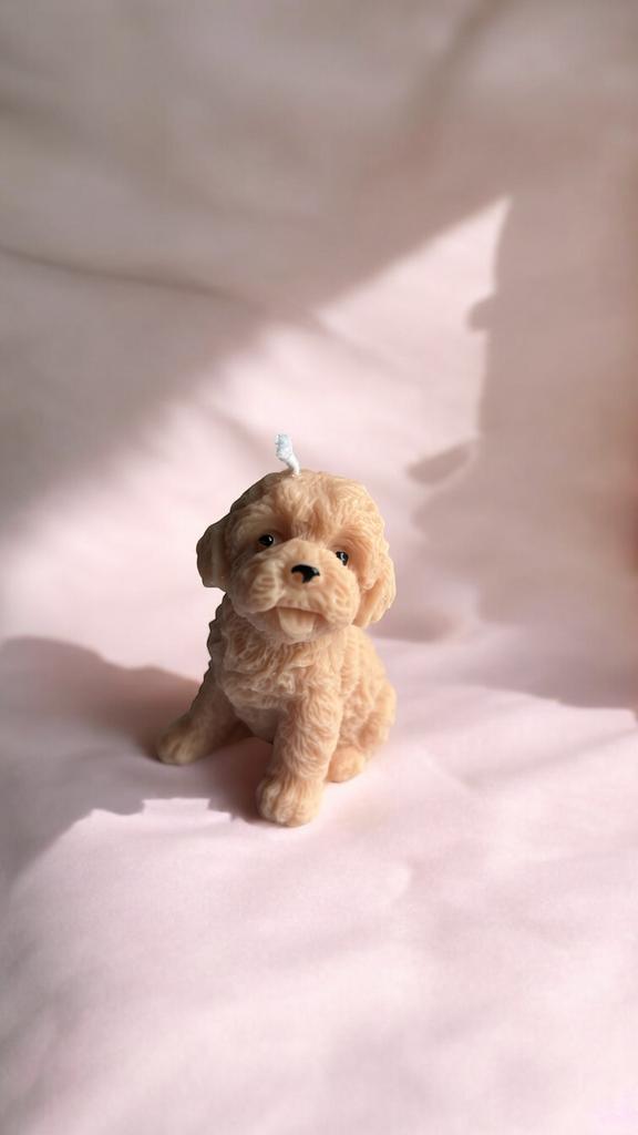 Свеча Кавапу (Cavapoo) щенок бежевый