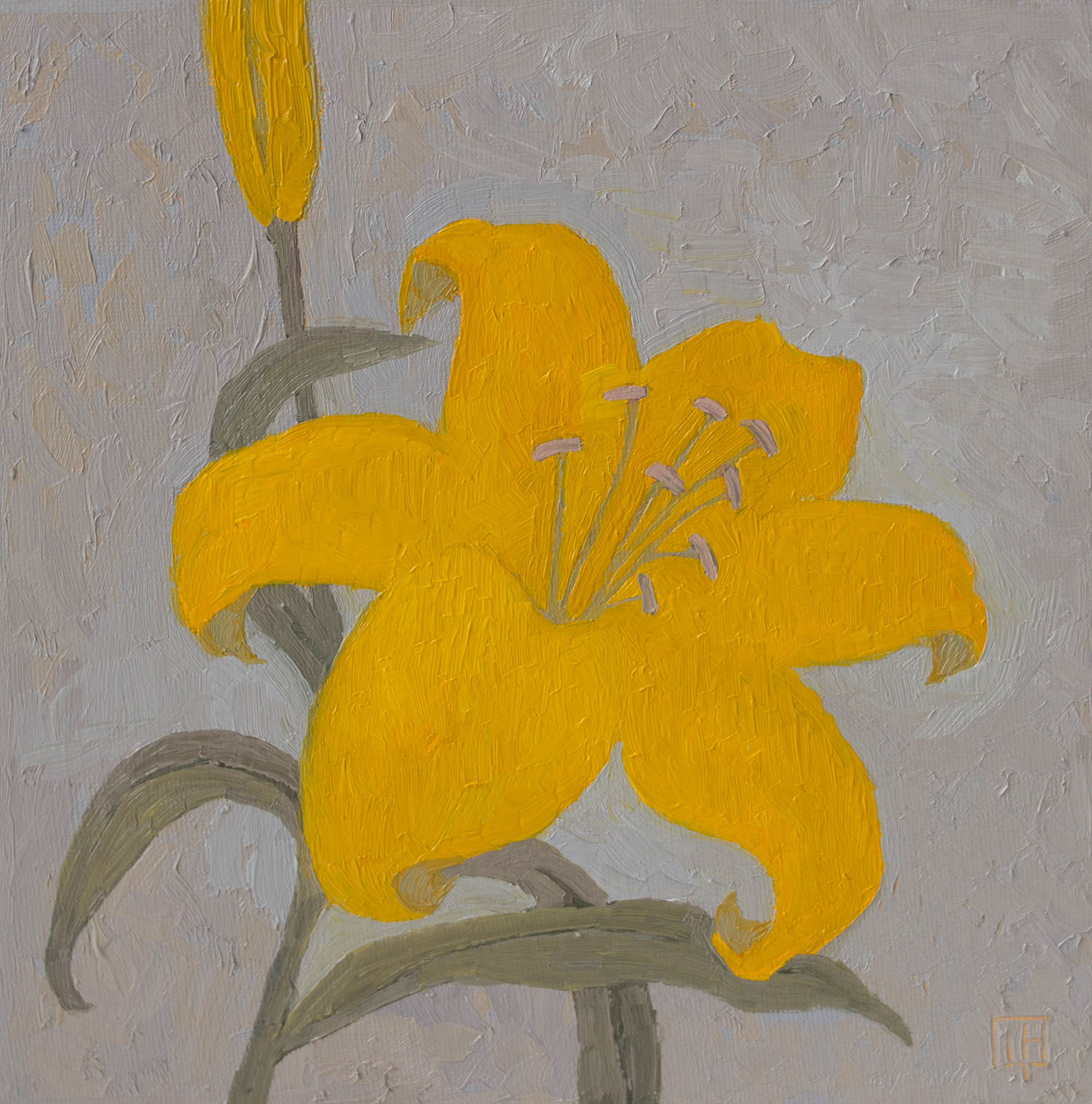 Этюд "Лилия на сером"