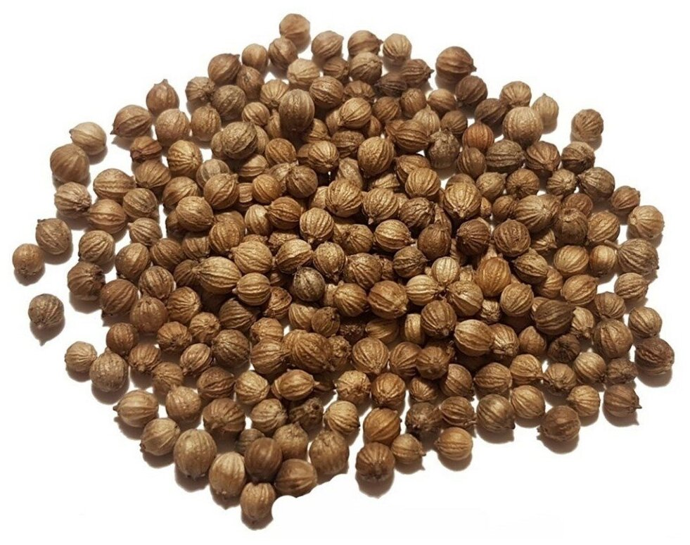 Кориандр зерно 20 кг.