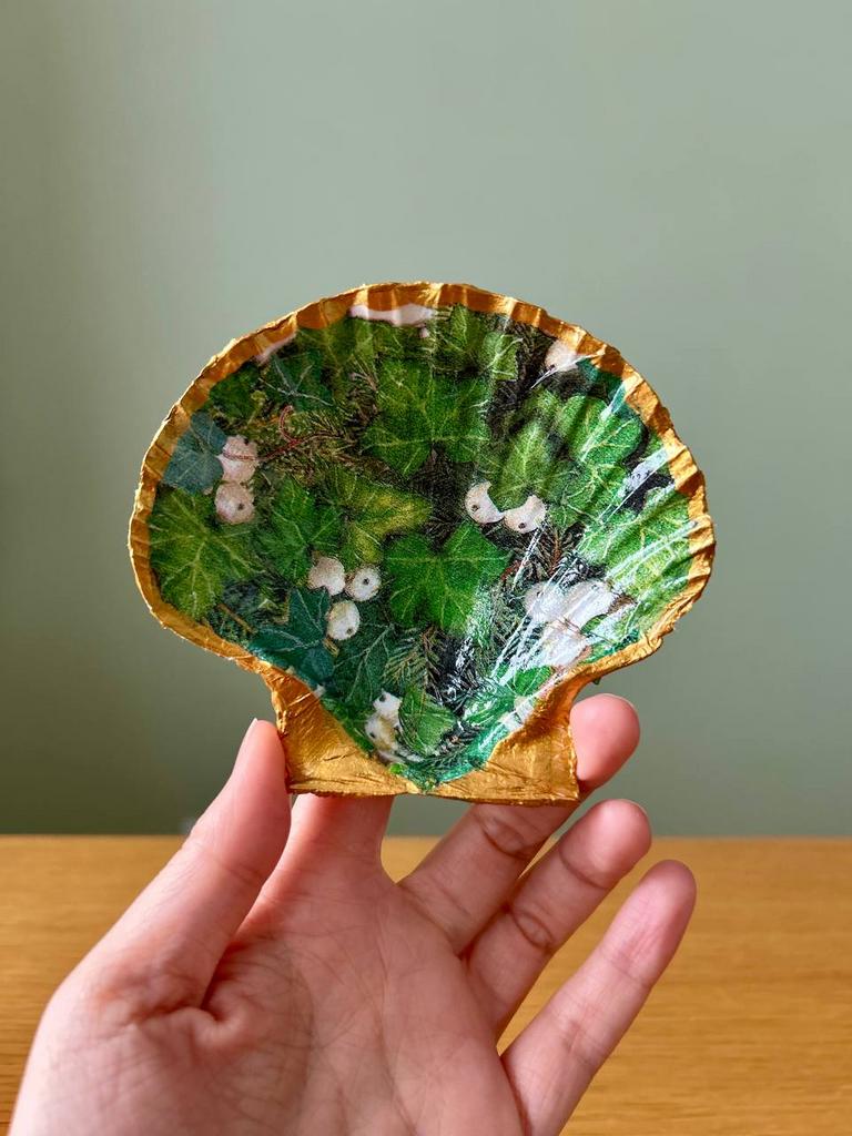 Шкатулка из раковины гребешка «Снежник»