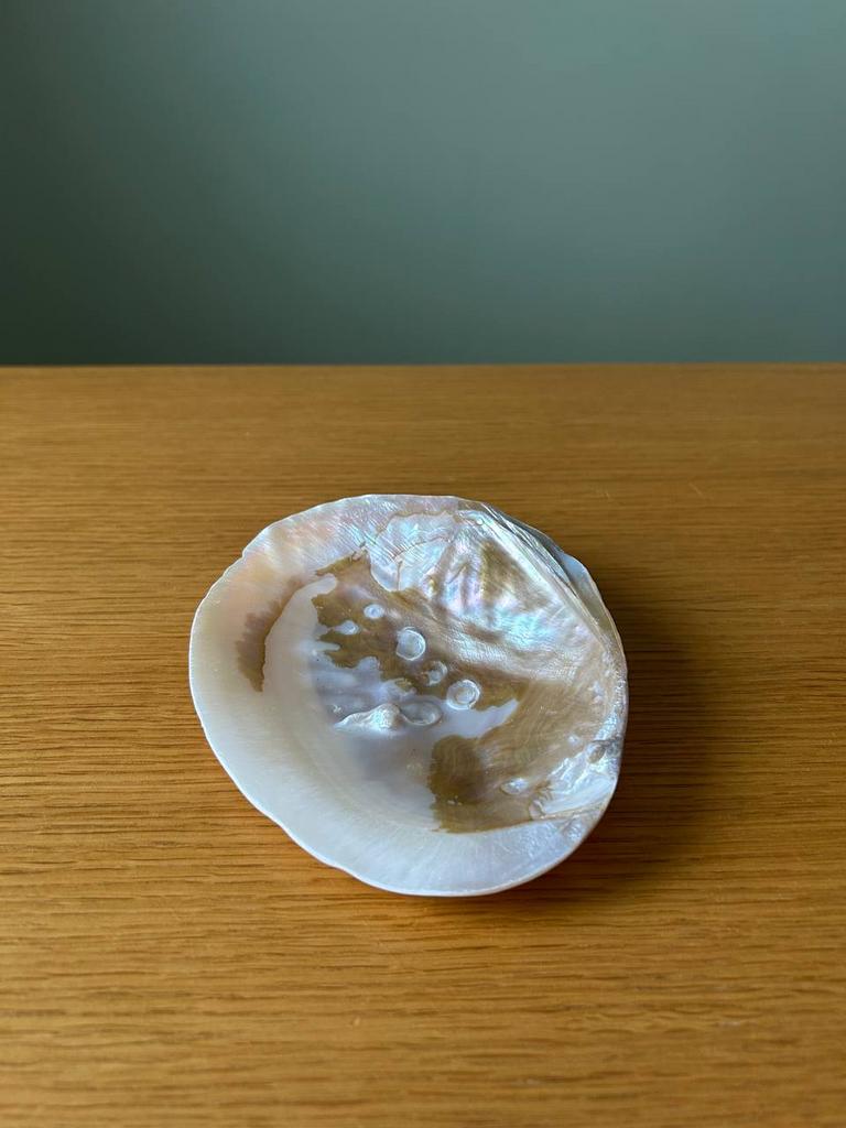 Раковина с натуральным жемчугом (1)