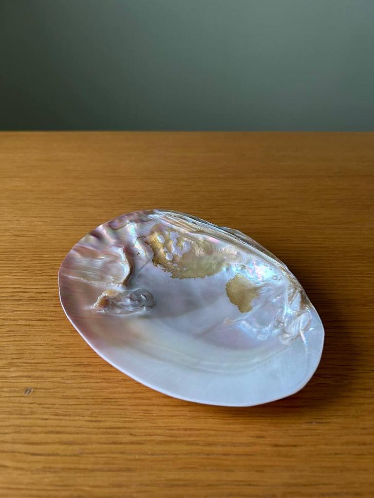 Раковина с натуральным жемчугом (2)