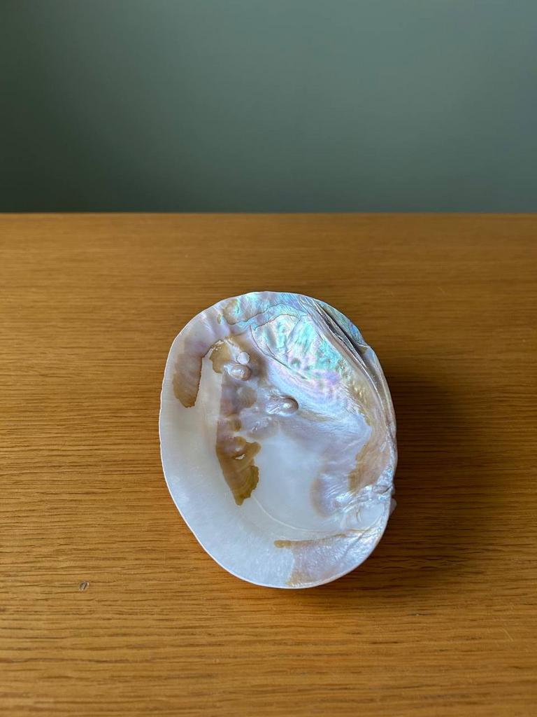 Раковина с натуральным жемчугом (3)