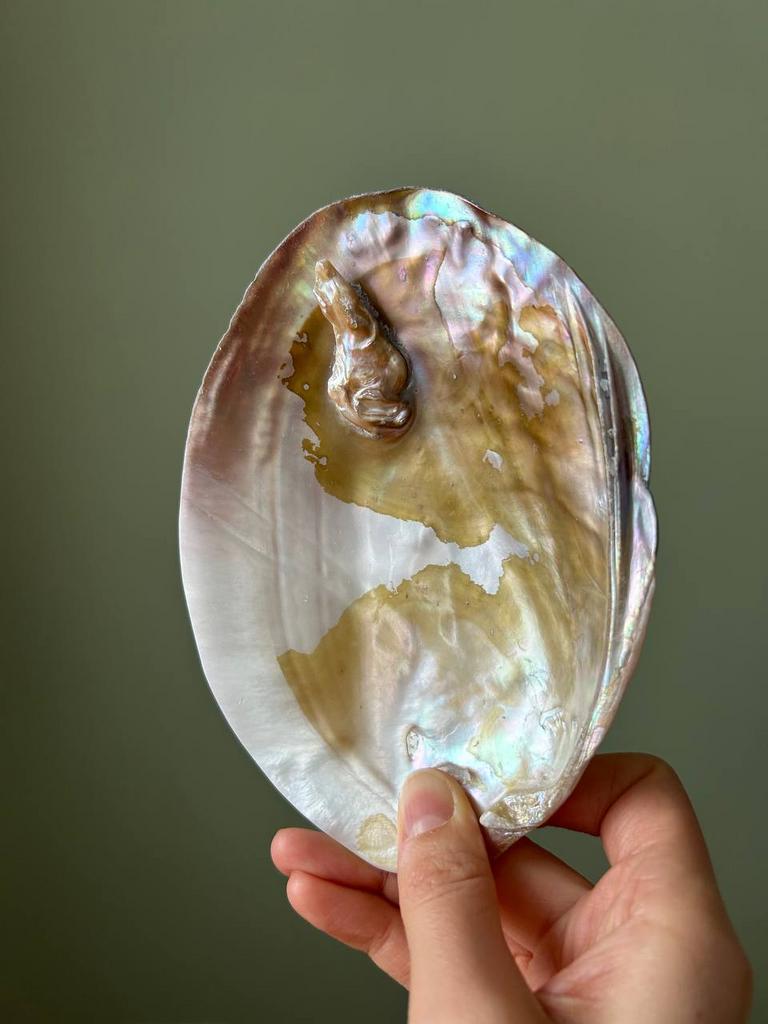 Раковина с натуральным жемчугом (4)