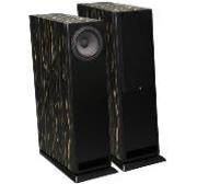 Напольная акустика Davis Acoustics MV One Master Ebony Black