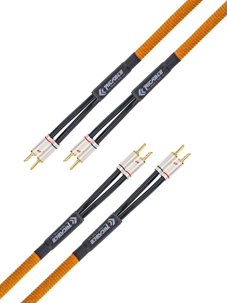 Кабель акустический Ricable Dedalus Speaker MKII 2 x 3 m