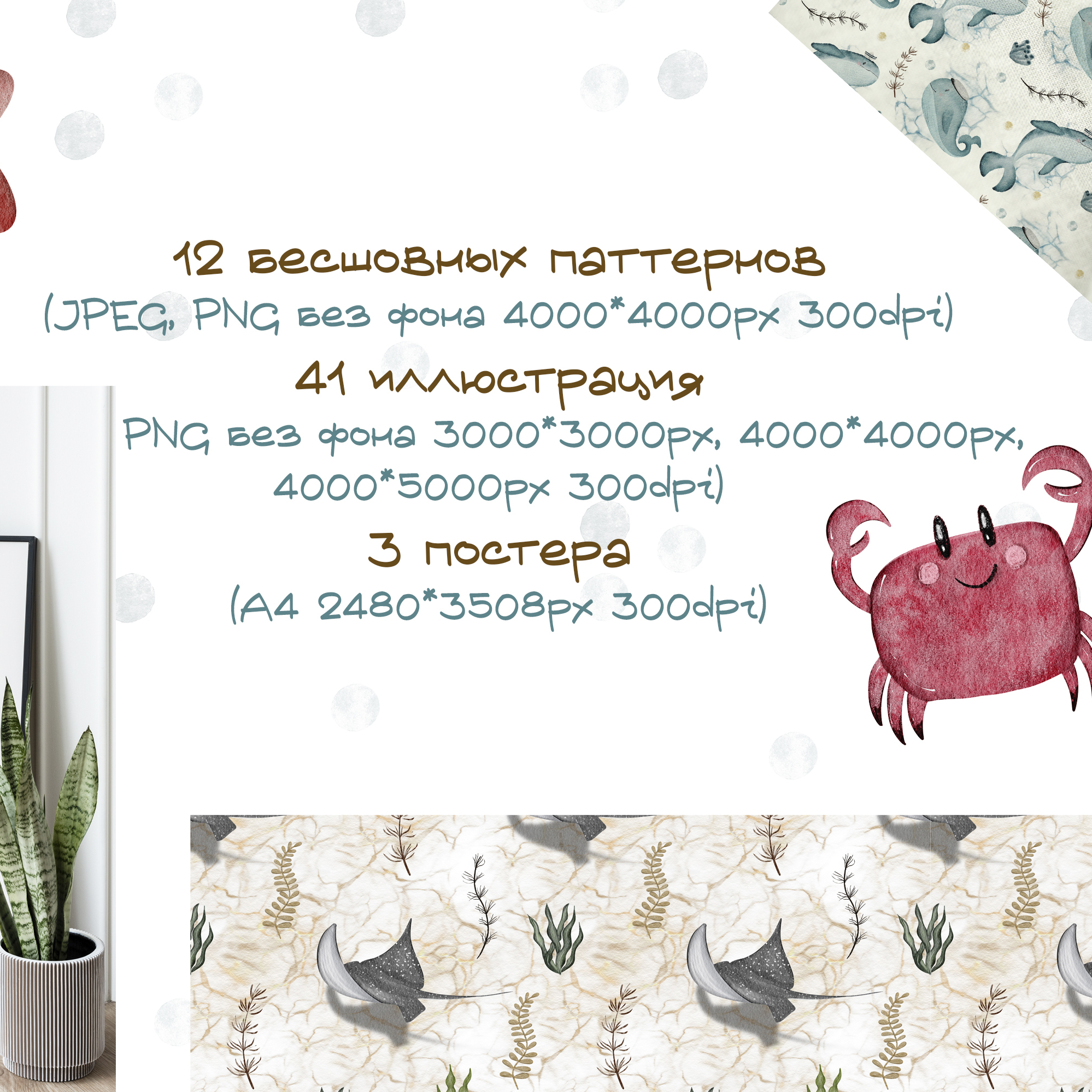 Маленькие друзья большого океана