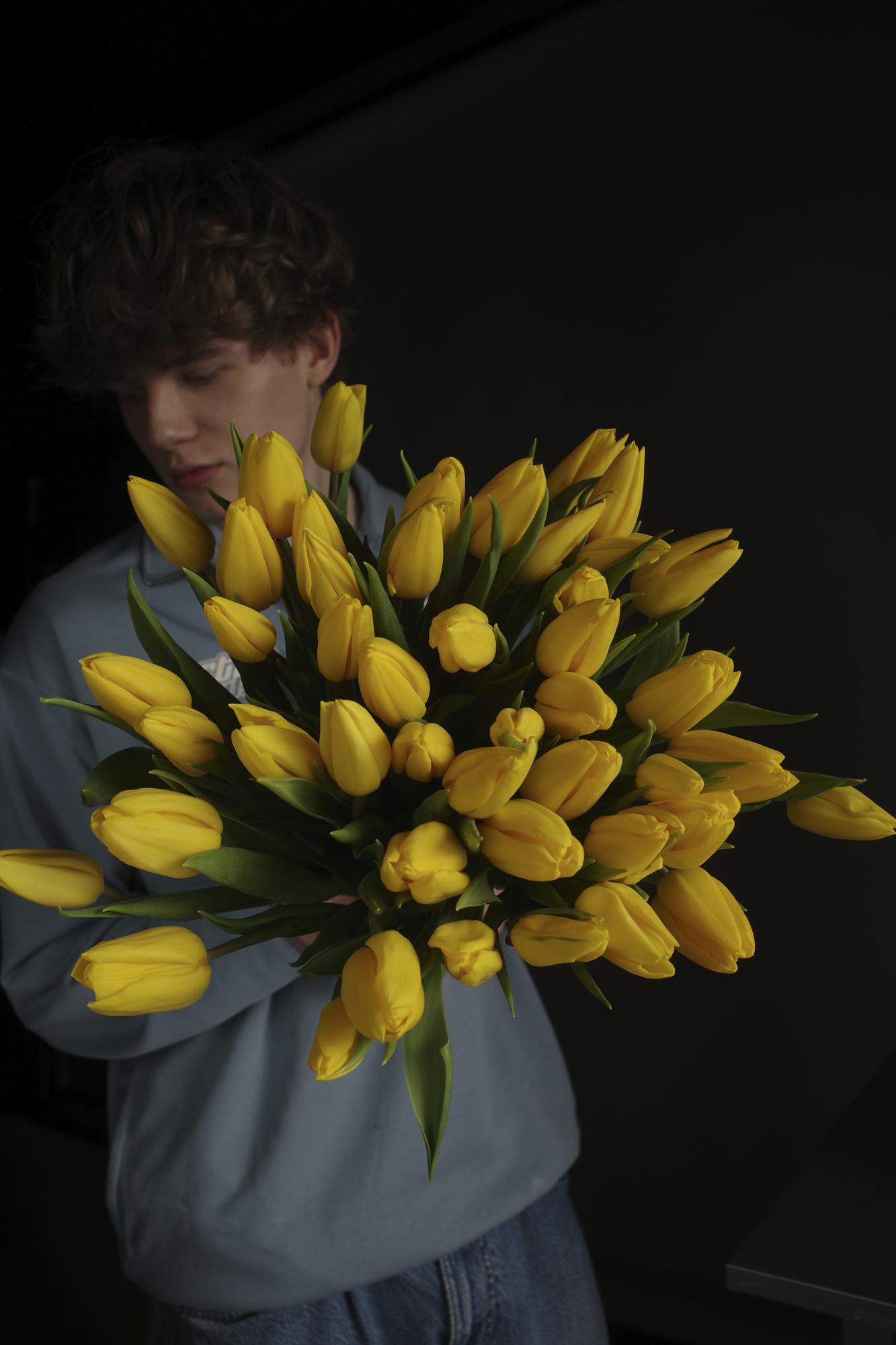 Тюльпан желтый