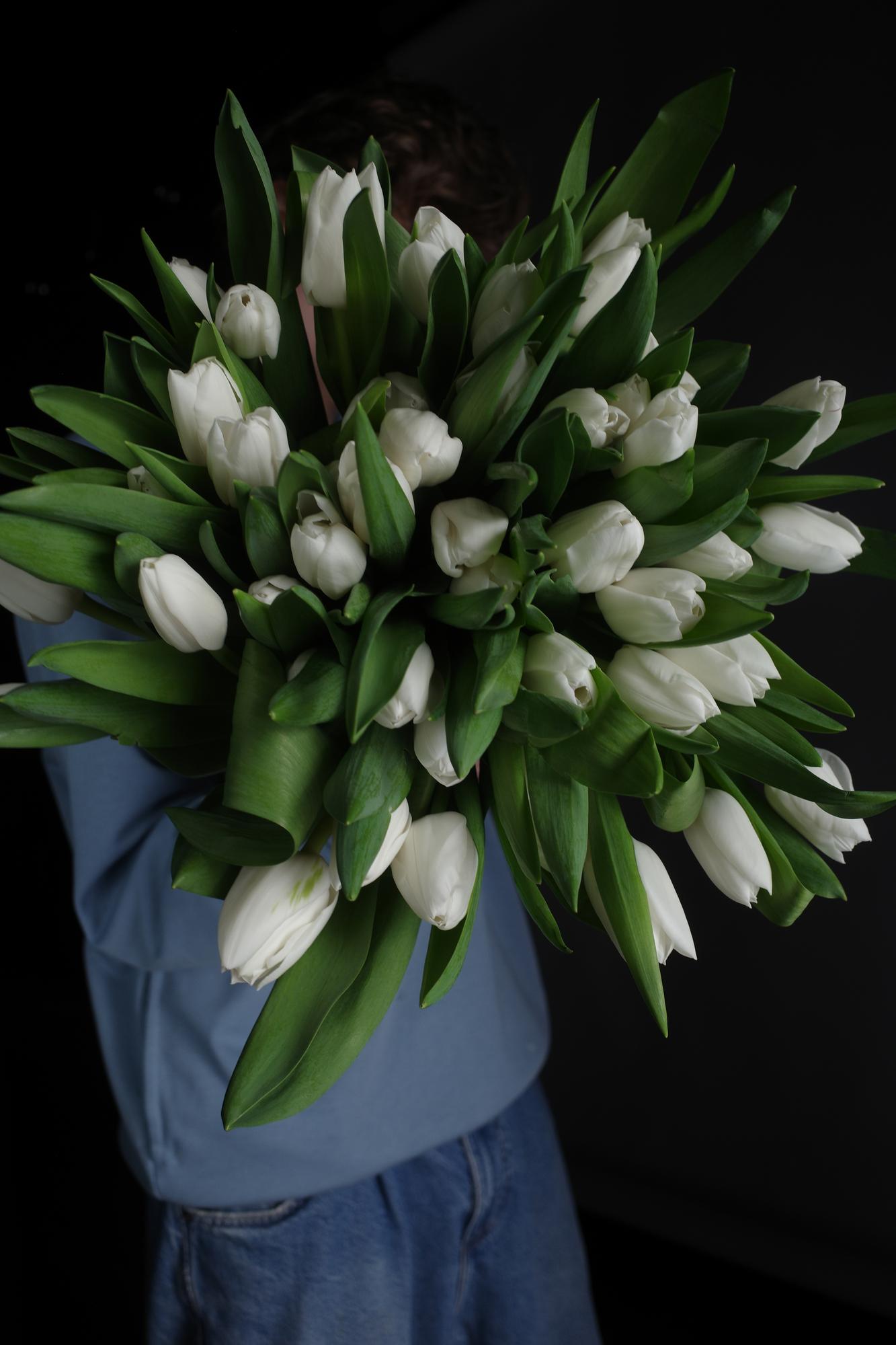 Тюльпан белый