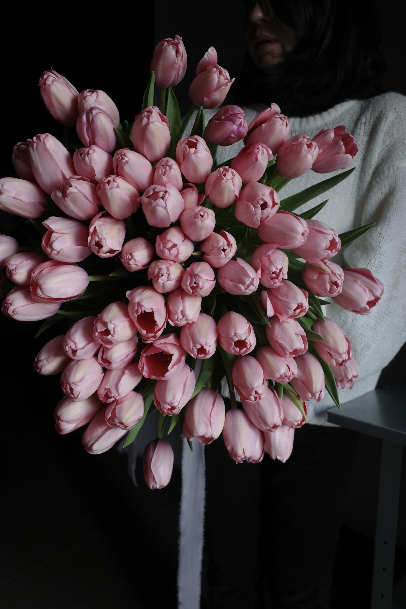 Тюльпан розовый