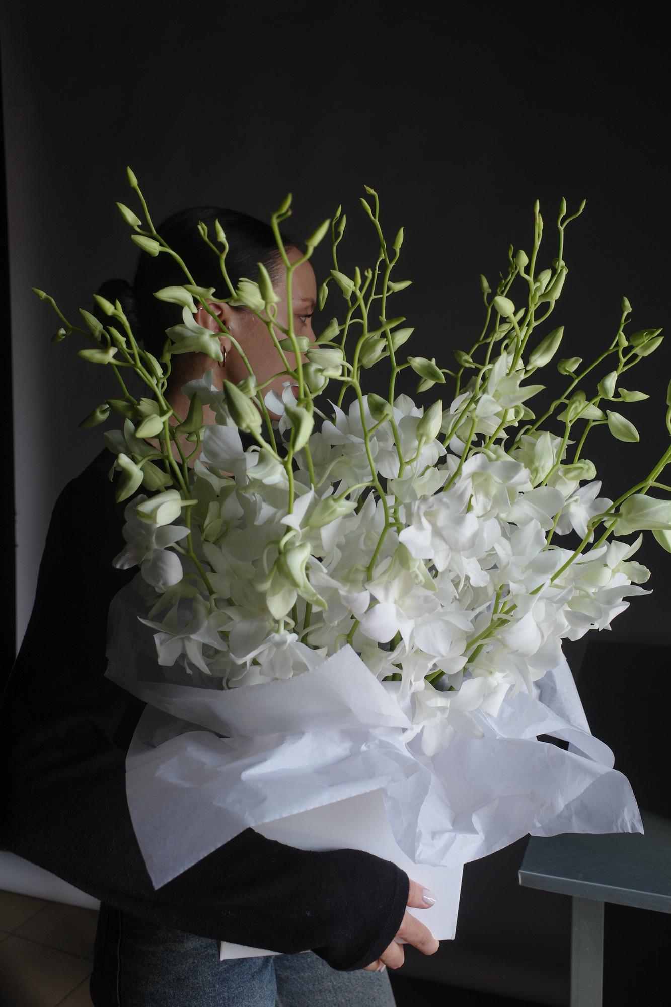 Дендробиум в коробке