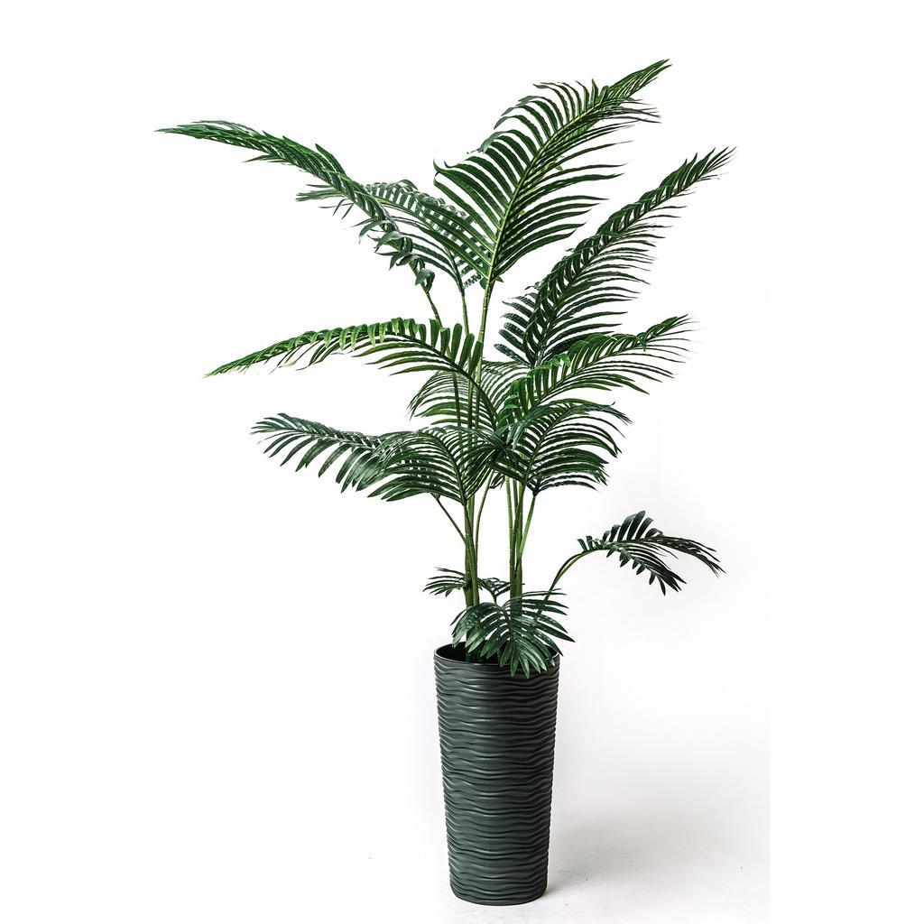 Финиковая Пальма Латекс