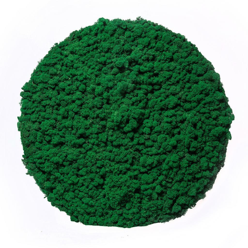 Мох стабилизированный