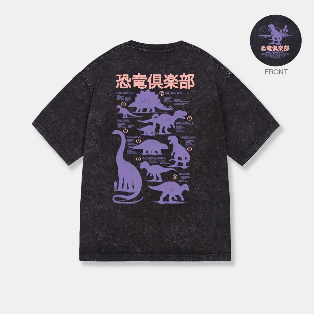 ФУТБОЛКА T-REX STONE WASHED BLACK