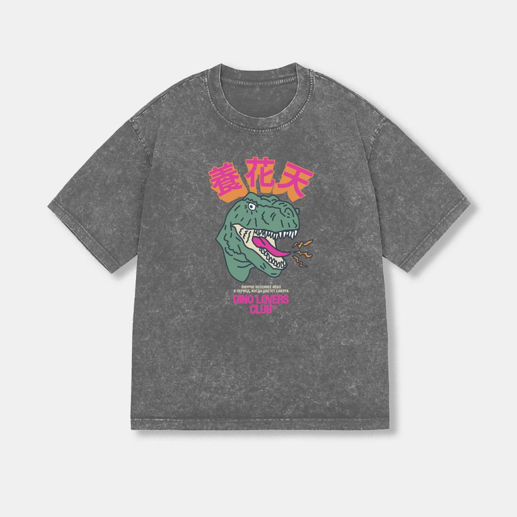 ФУТБОЛКА DIPLO STONE WASHED GREY SAKURA