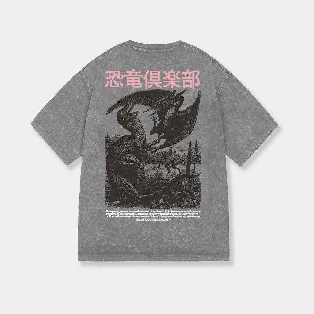 ФУТБОЛКА DIPLO STONE WASHED GREY BATTLE