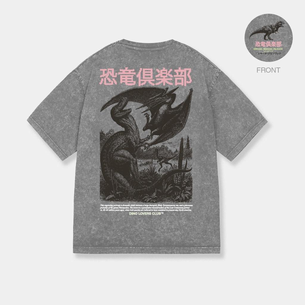 ФУТБОЛКА DIPLO STONE WASHED GREY BATTLE