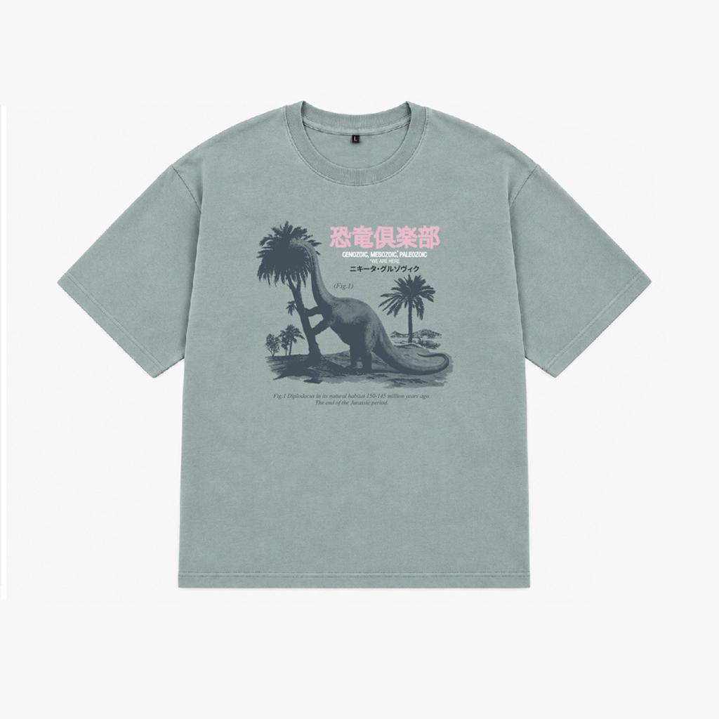 ФУТБОЛКА DIPLO GARMENT DYED TEAL