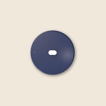 Cookut BLUEBERRY. Крышка 20 см