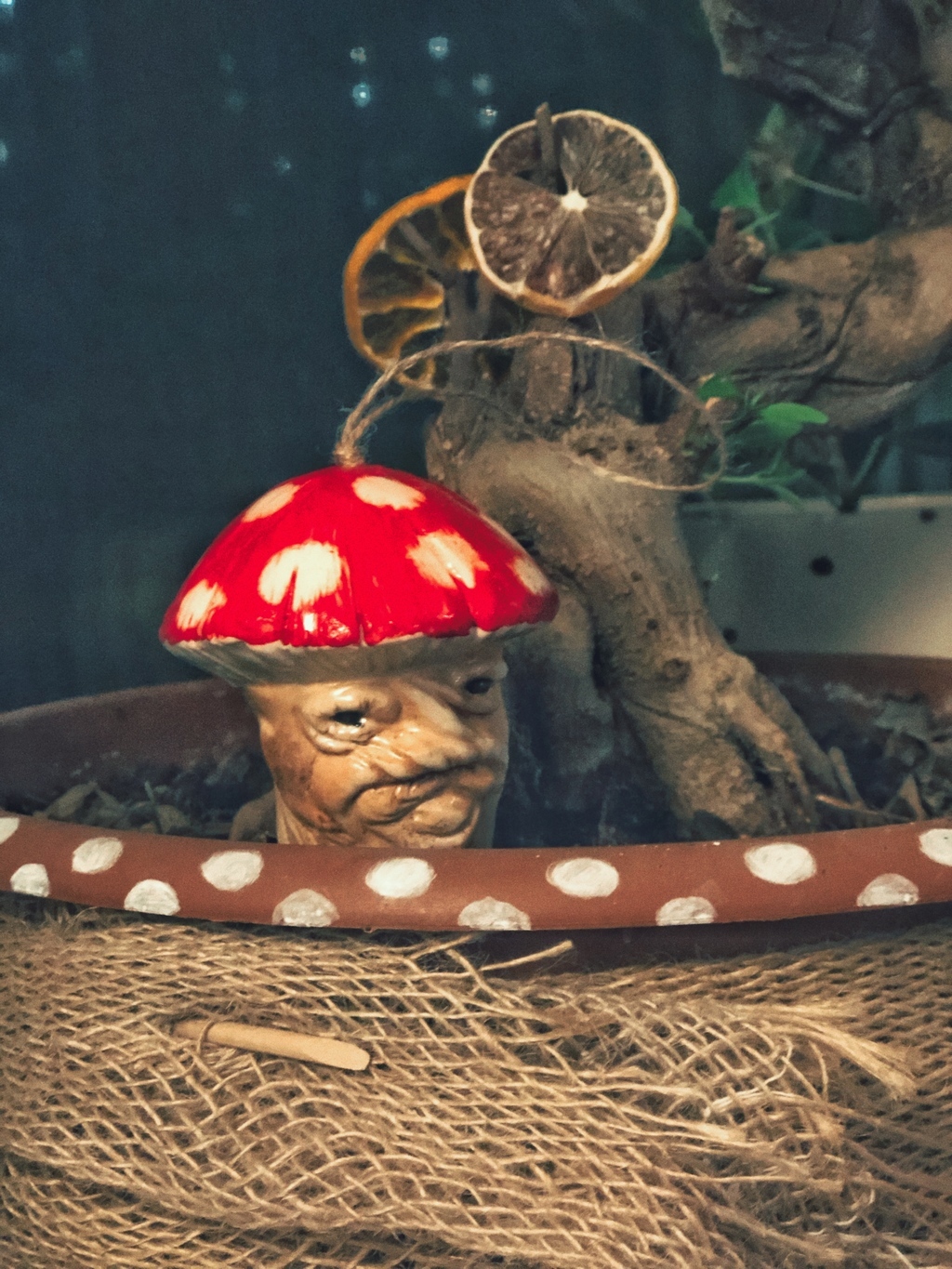 Волшебный гриб на ёлку