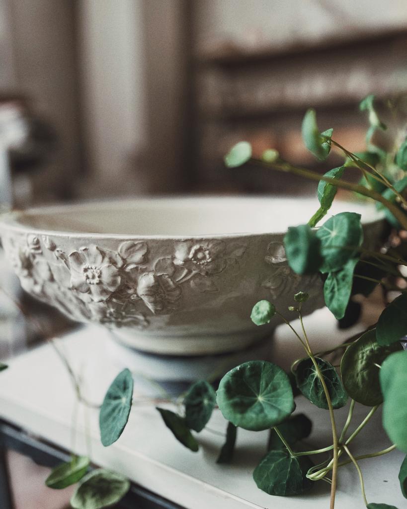 Раковина «Белый Шиповник»