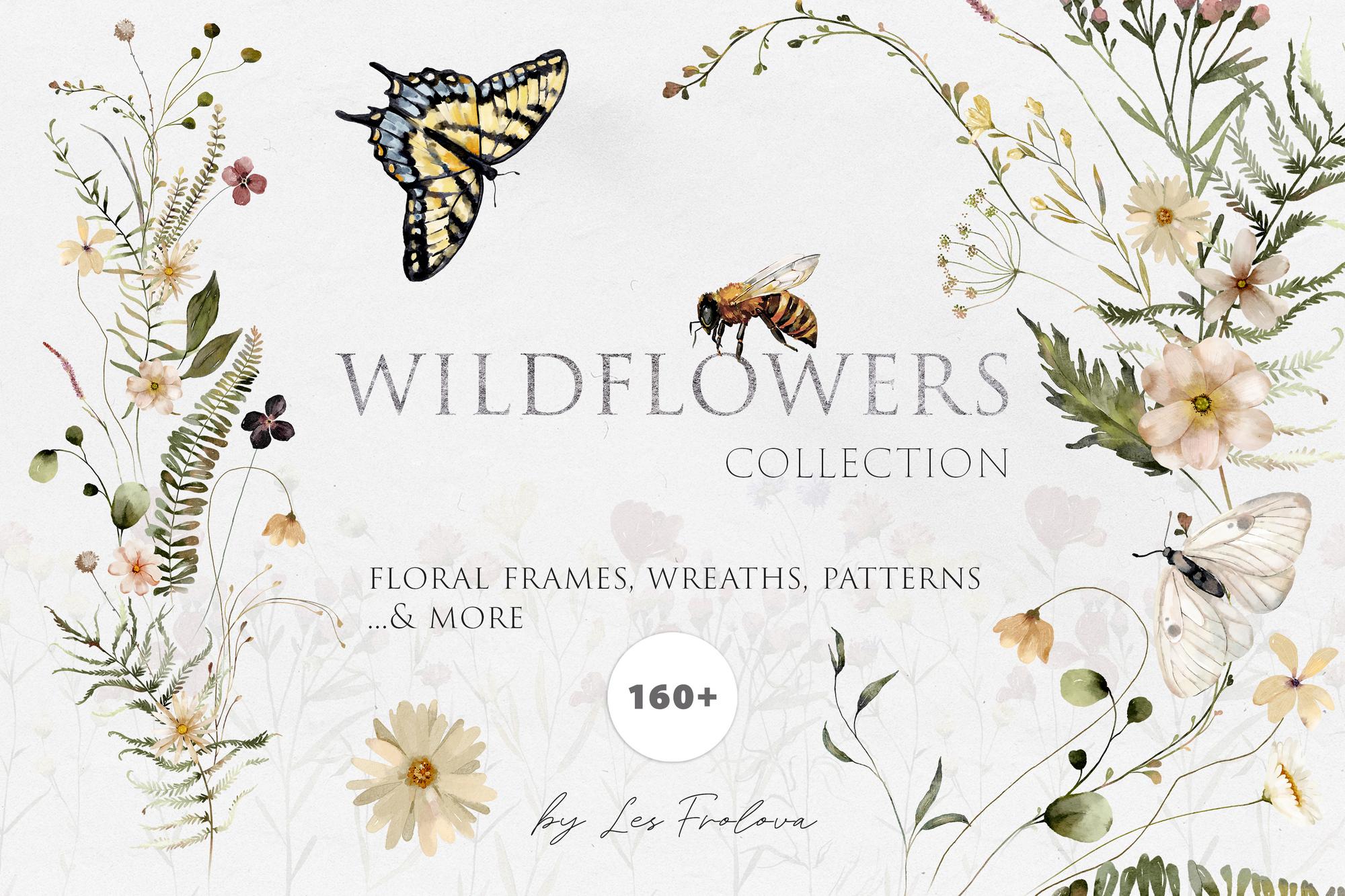 Wildflowers-Watercolor Collection
