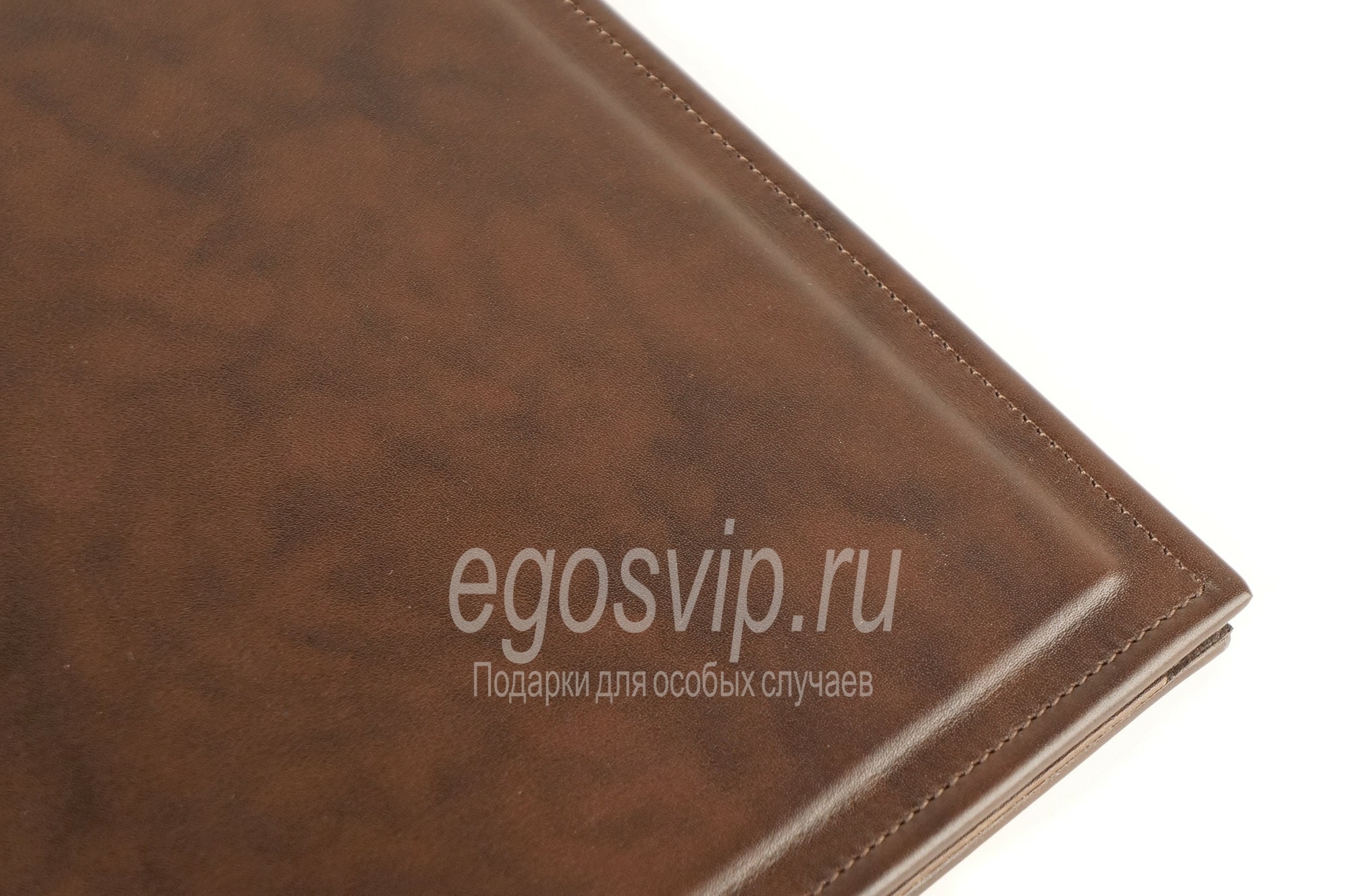 Кожаная папка  на доклад / EGOS