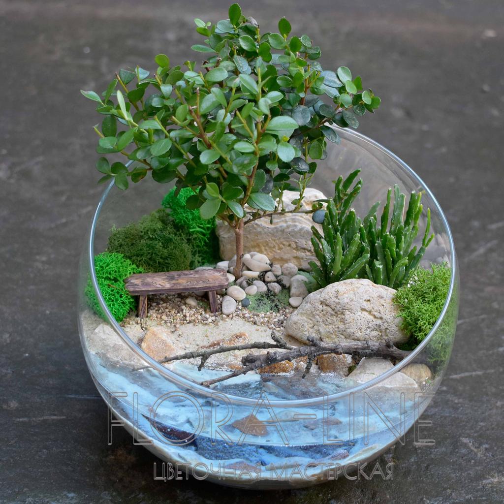 Флорариум "Уединение" 4 литра