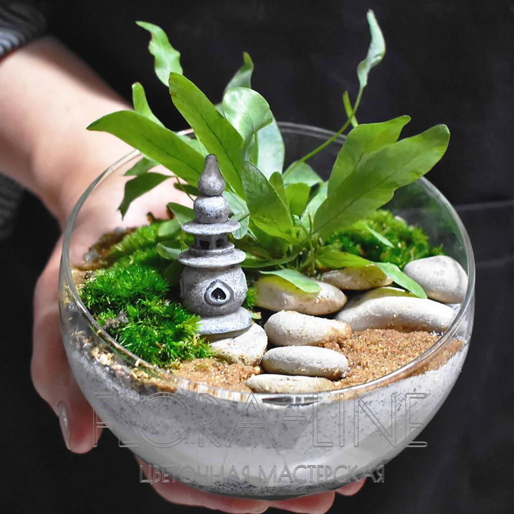 Флорариум "Сад камней" 1 литр