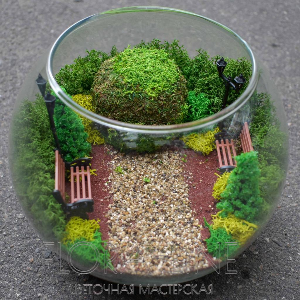 Моссариум 3 литра "Парк"