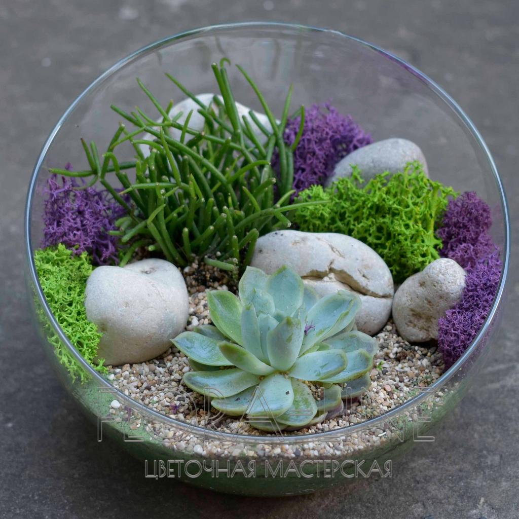 Флорариум "Никаких фигурок" 2 литра