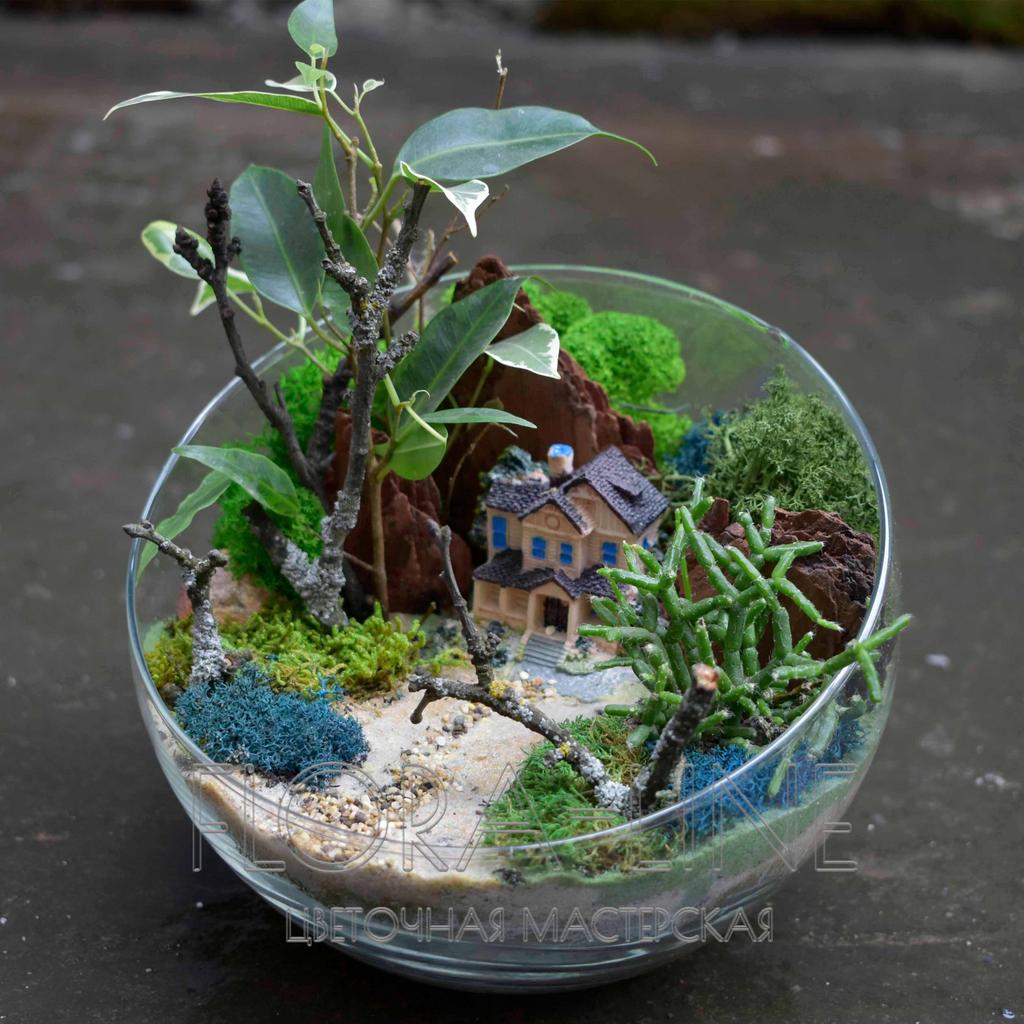 Флорариум "Новый Орлеан" 2 литра