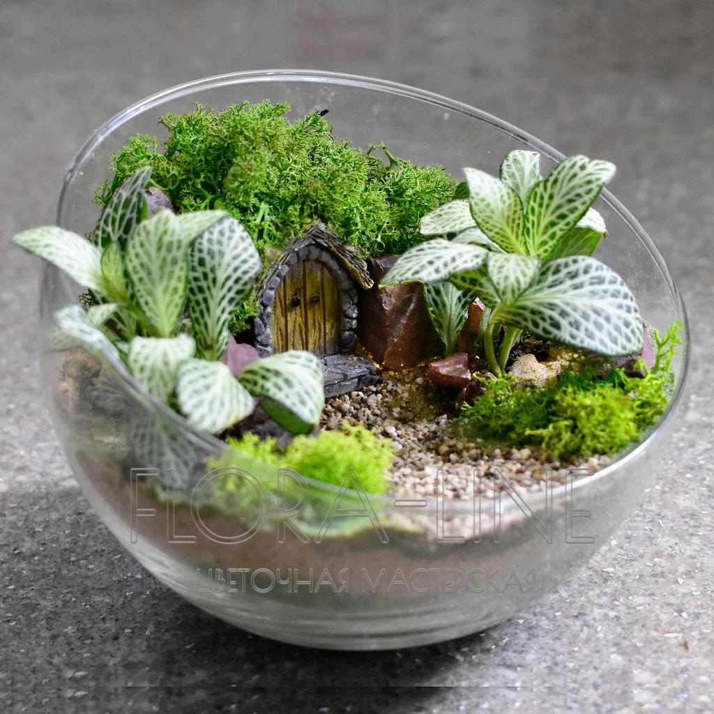 Флорариум "Нора Бен-Банду" 2 литра