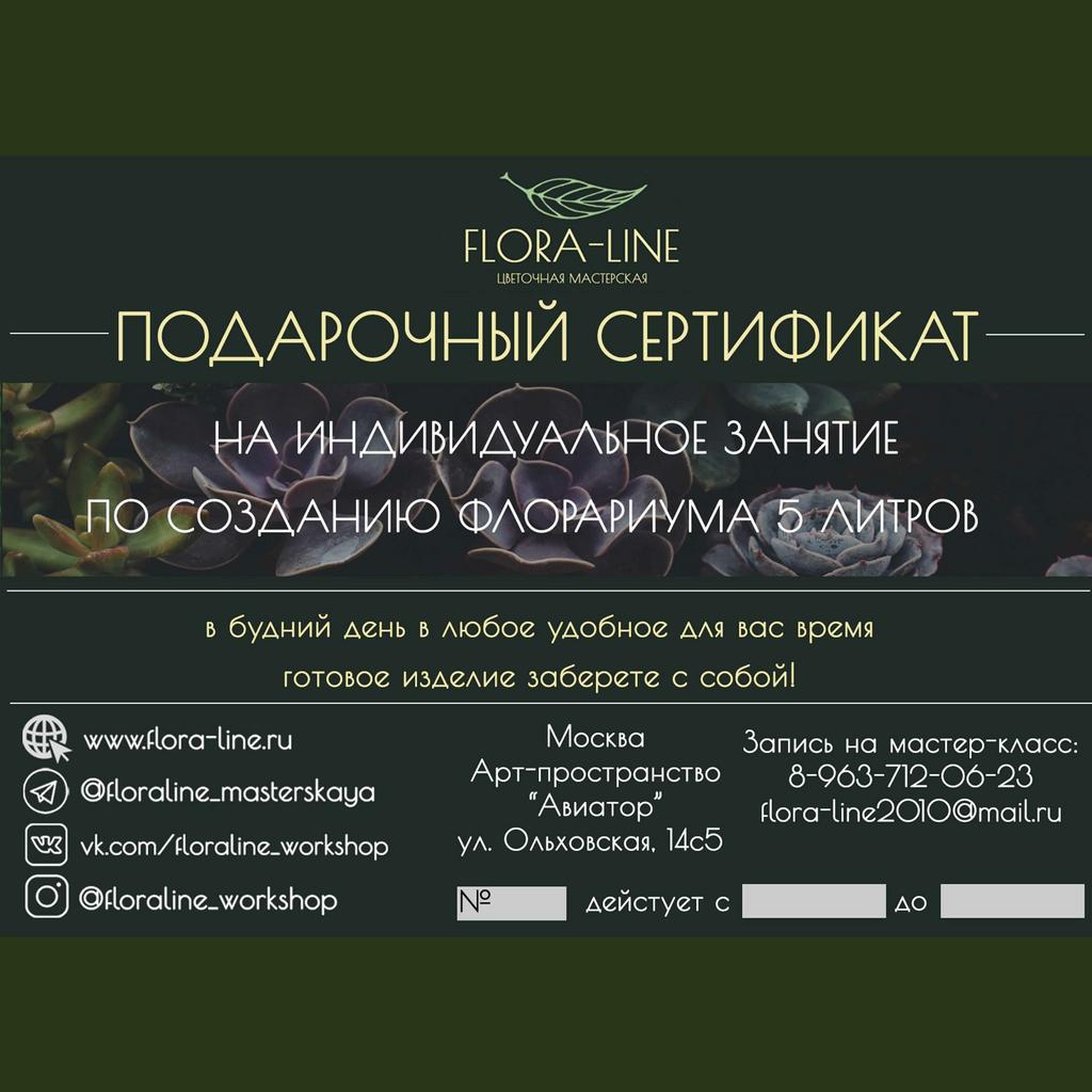 Сертификат на индивидуальный мастер класс по созданию флорариума 5 литров