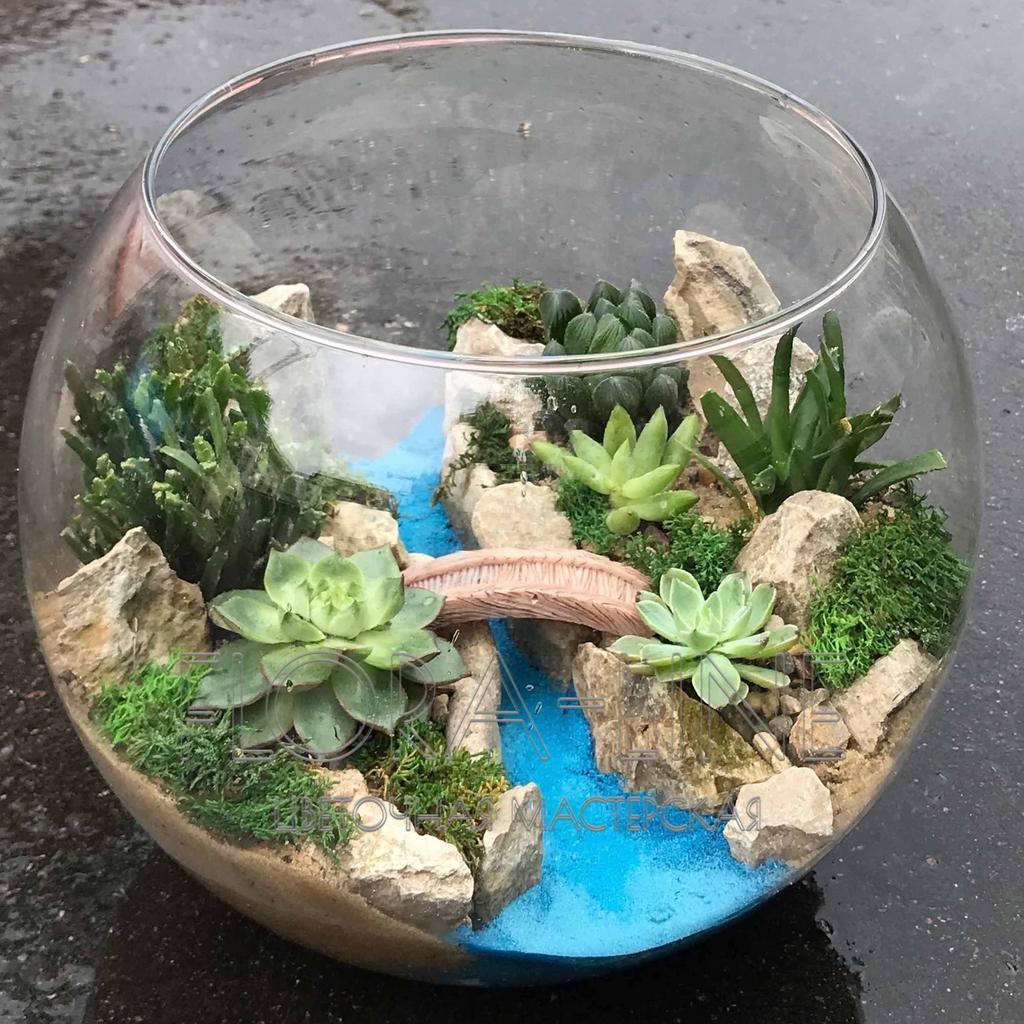 Флорариум 5 литров "Баланс"