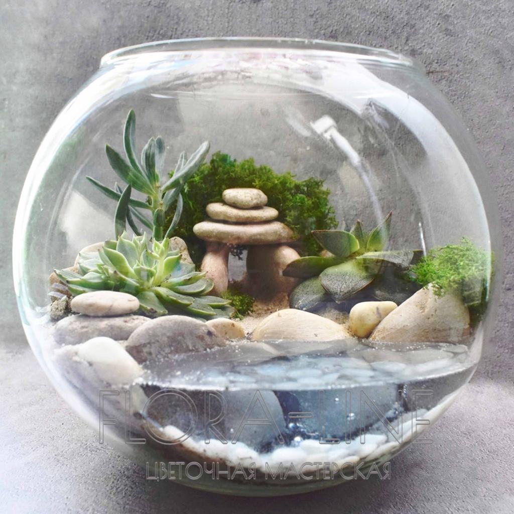 Флорариум "На острове" 3 литра