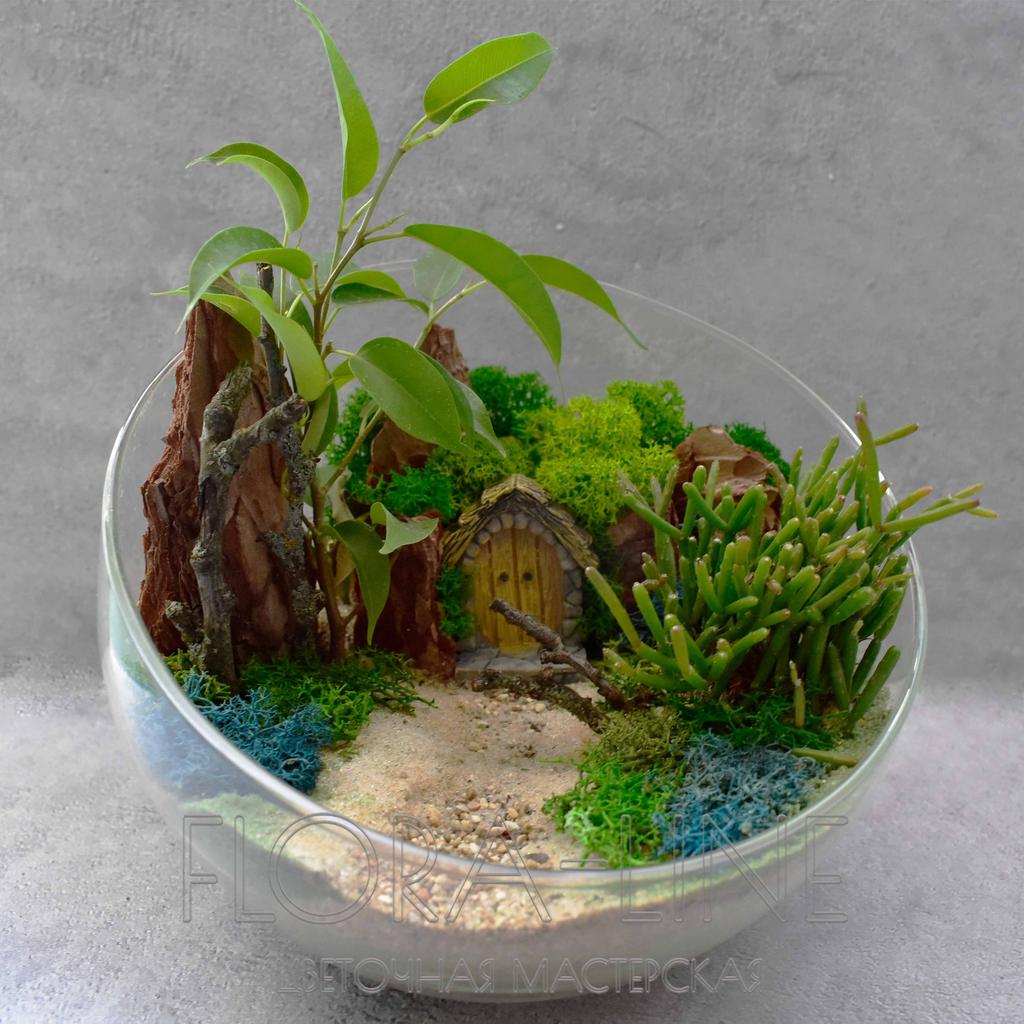 Флорариум "Долгое путешествие" 2 литра